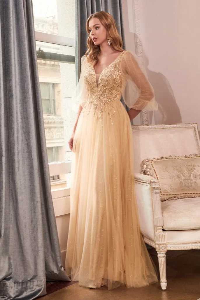 Cinderella Evening Dress CD0182