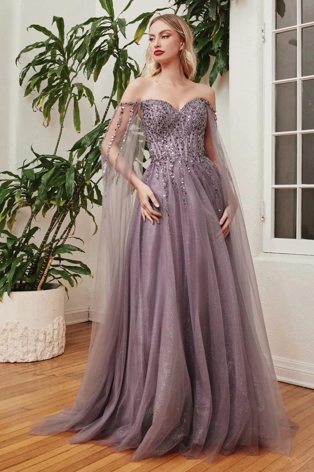 Cinderella Evening Dress CD0204