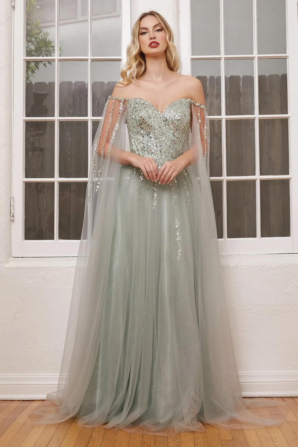 Cinderella Evening Dress CD0204