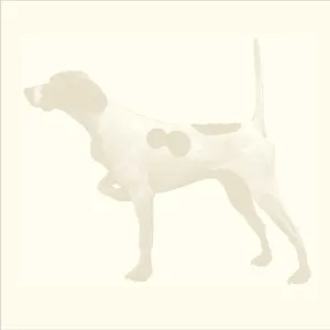 Elegant Sporting Life Note Pads
