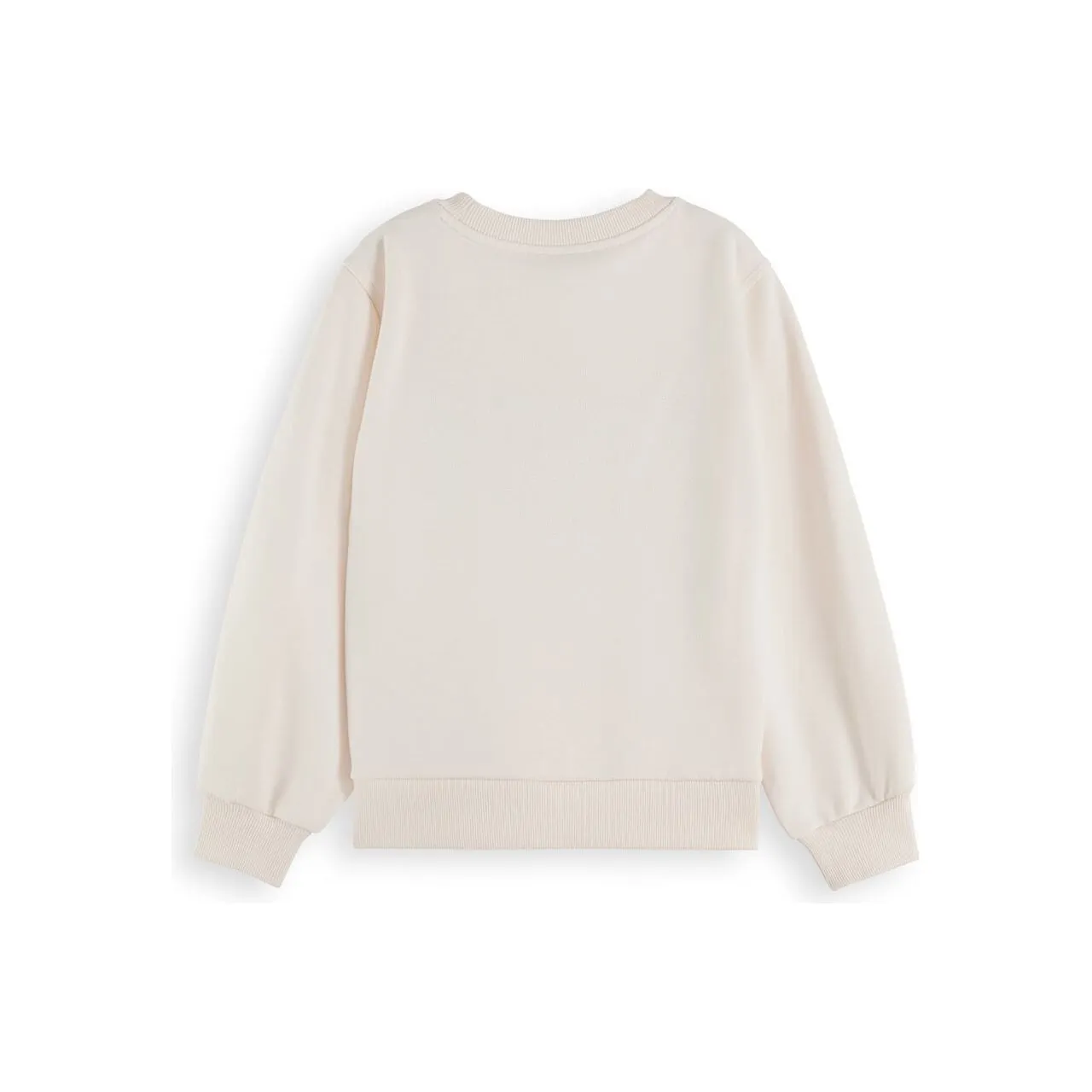 Embroidered Sweatshirt