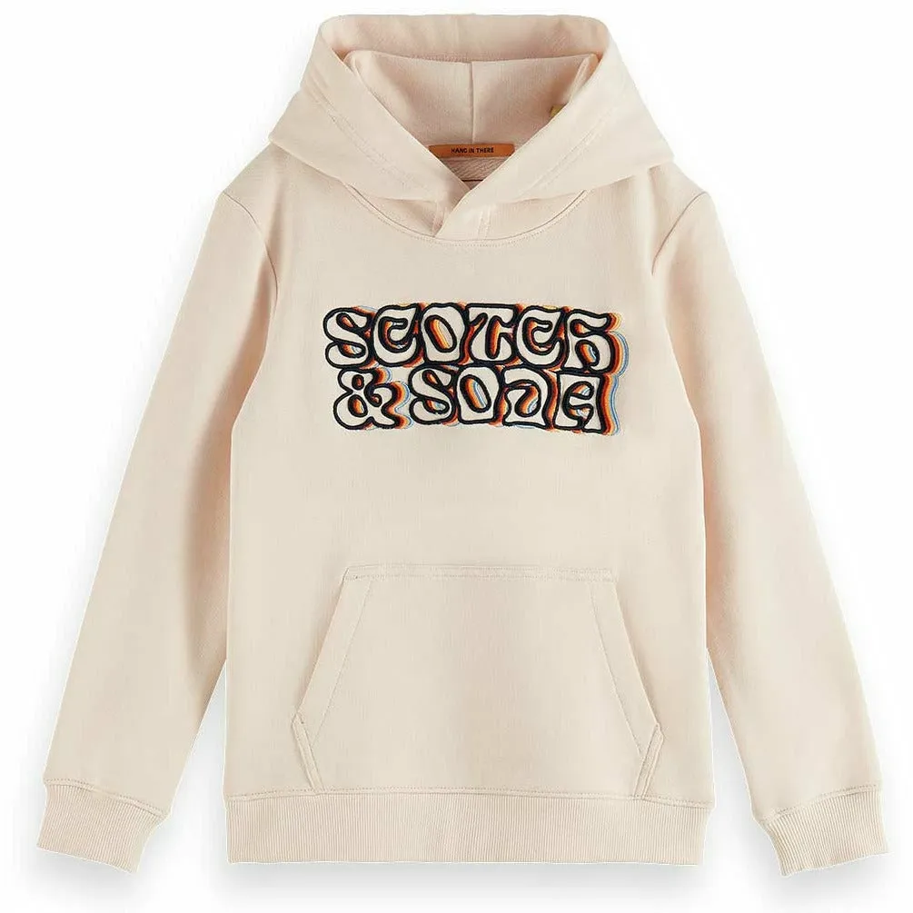 Hoodie With Embroidery Artwork