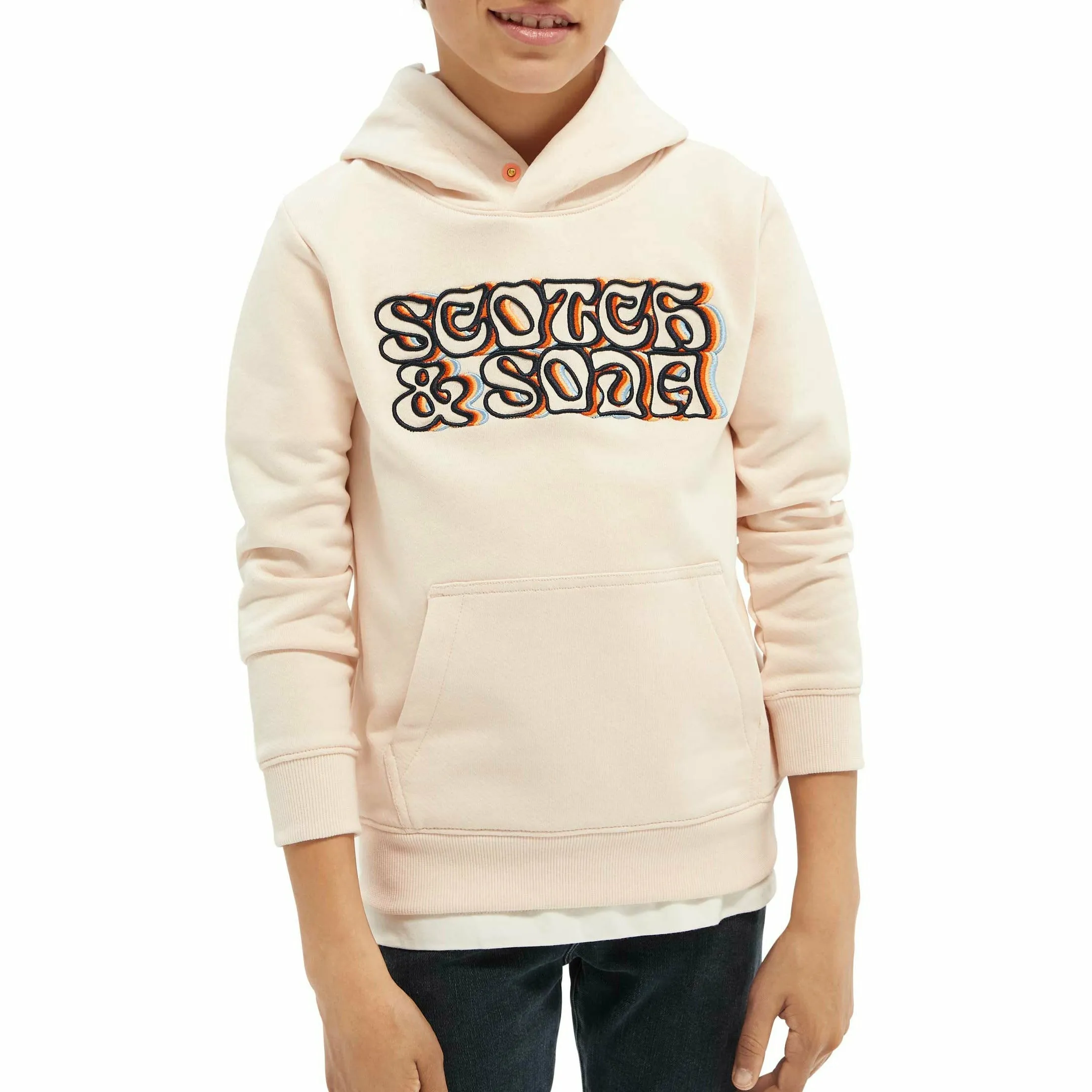 Hoodie With Embroidery Artwork