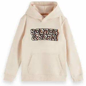 Hoodie With Embroidery Artwork