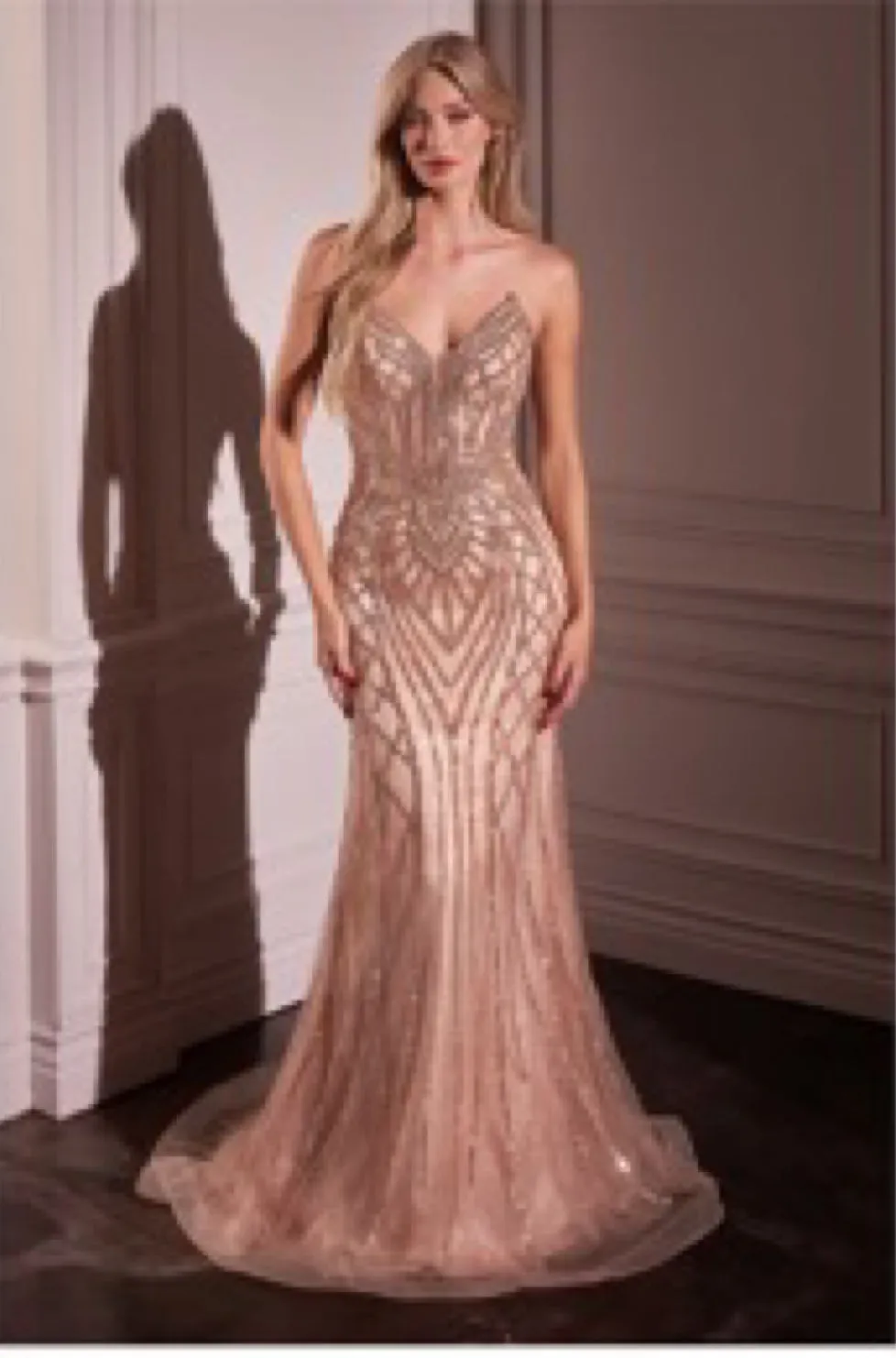 LaDivine by Cinderella Divine Evening Gown CC6018