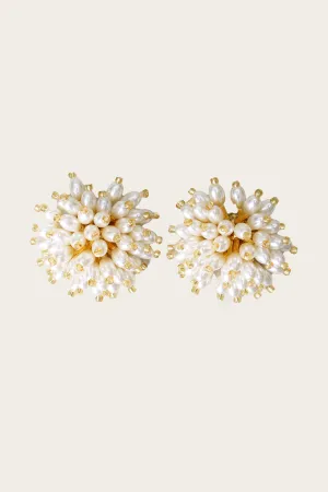 Vallee Etoilee Earrings
