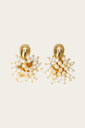 Vallee Etoilee Earrings