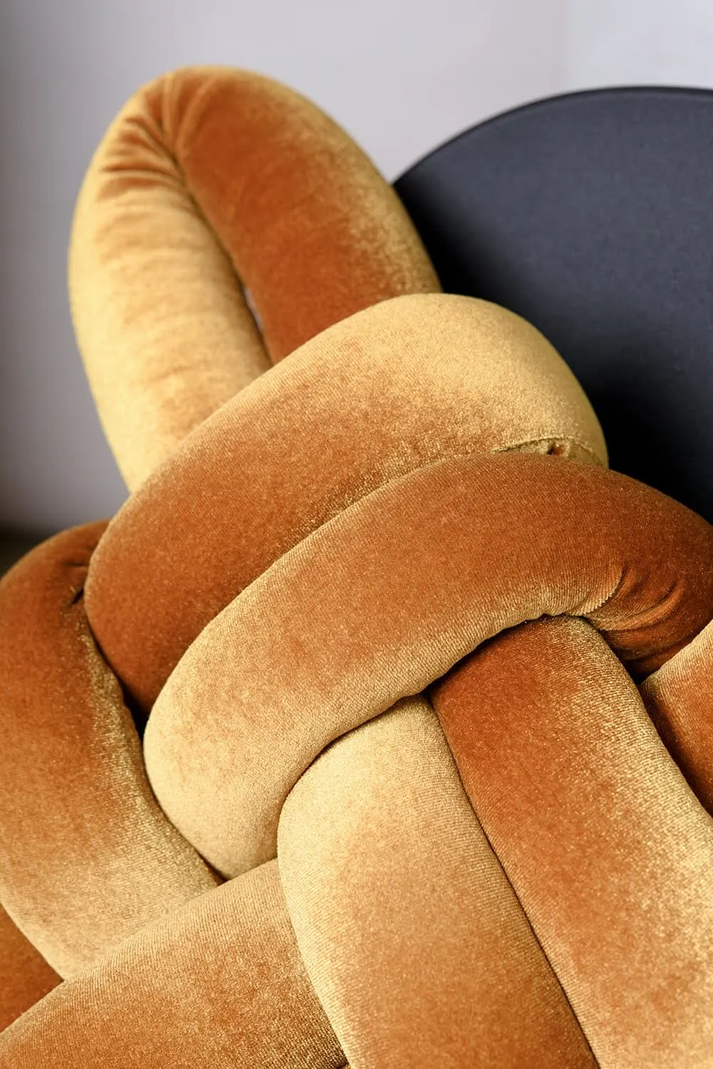 Velvet Cushion